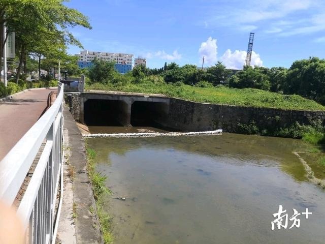 第1260页
