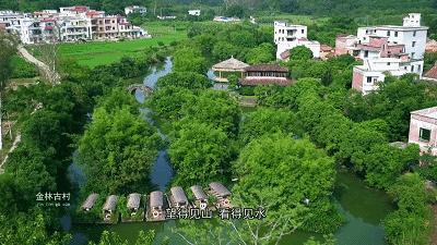 乐城最新动态揭秘，未来发展趋势引领健康生活新潮流