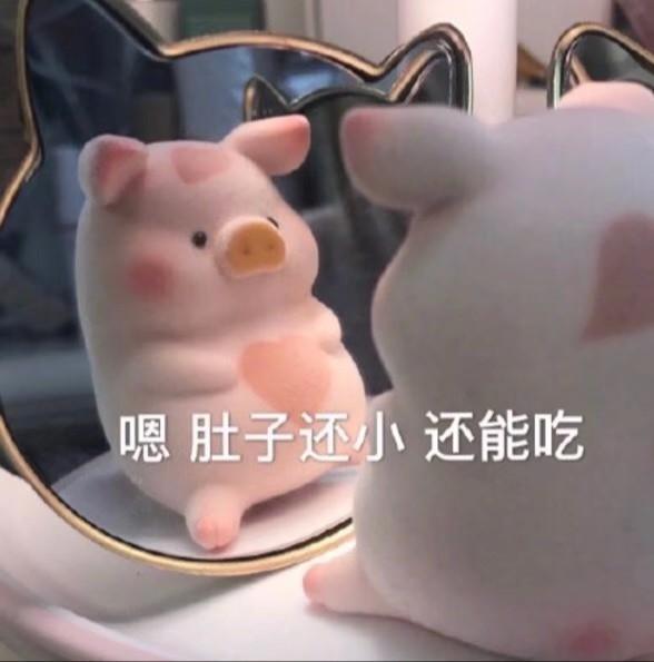 沙雕文案大揭秘，奇思妙想，创意无限的最新文案集萃