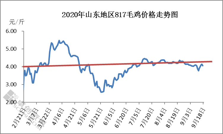 北京今日鸡肉价格行情深度解析与预测