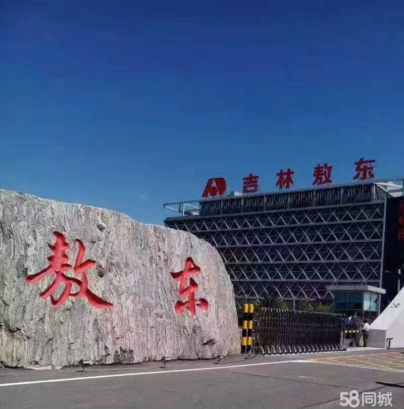 吉林敖东引领未来变革与繁荣的最新消息动态