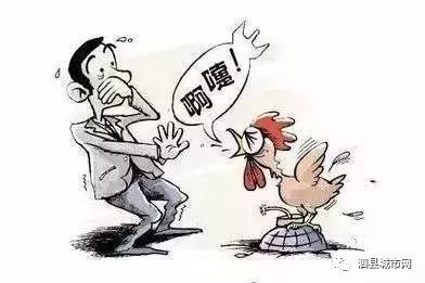 禽流感的最新情况